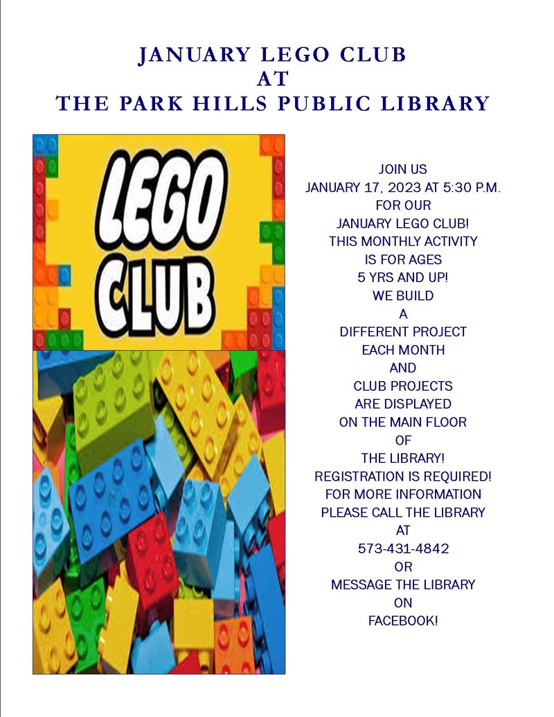 Monthly Lego Club