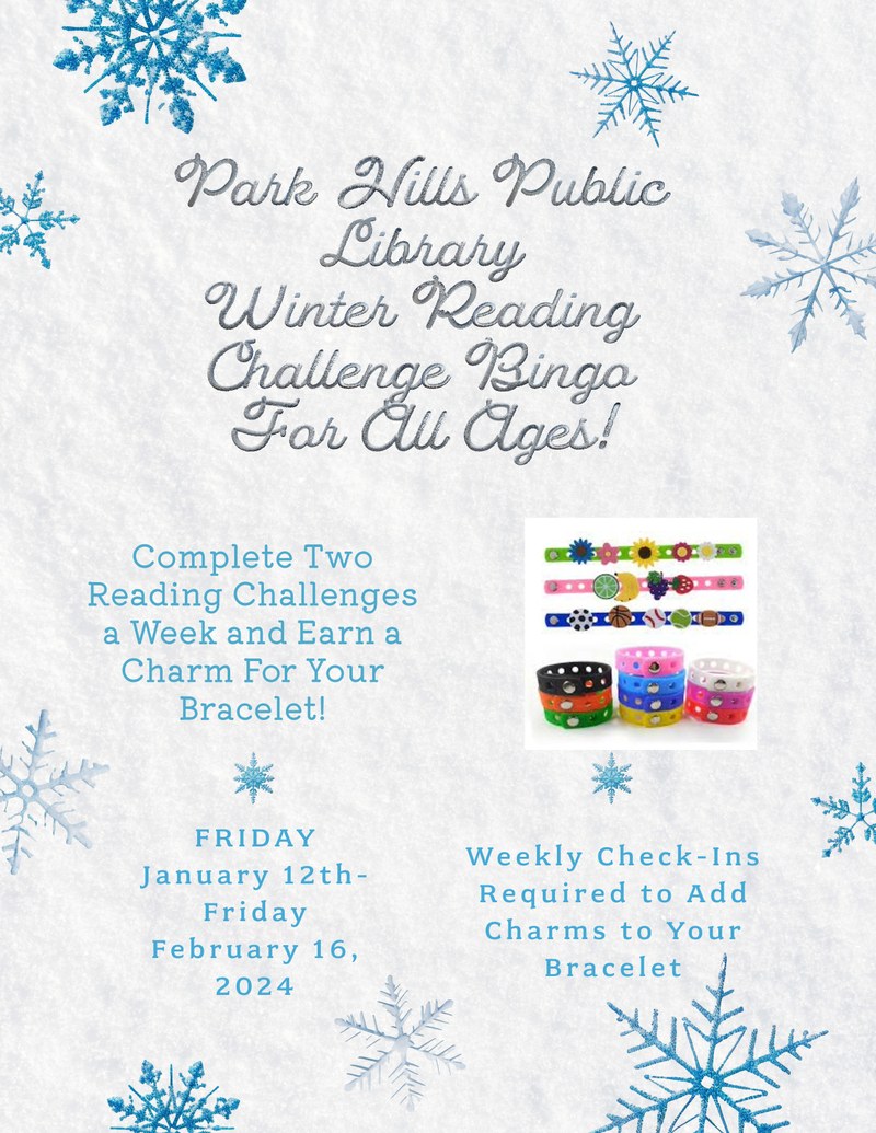 Winter Reading Challenge Bingo